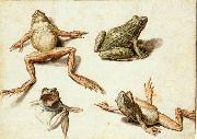 GHEYN, Jacob de II Four Studies of Frogs USA oil painting artist